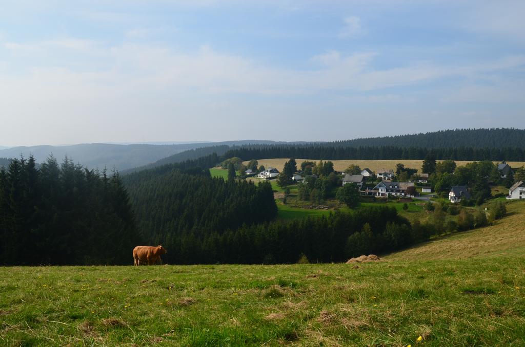 ווינטרברג Berggasthof Zur Glocke מראה חיצוני תמונה